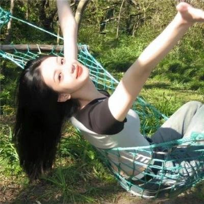侠盗红狐狸